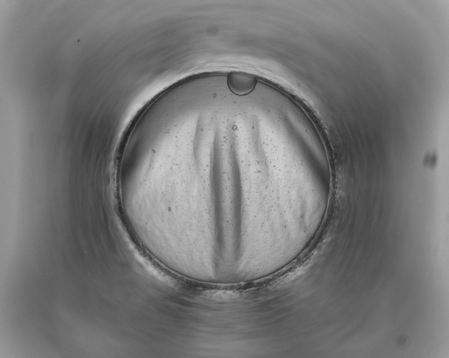 X0000093461517200710261009