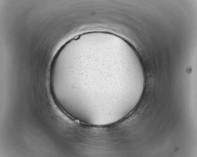 X0000093461518200710261009