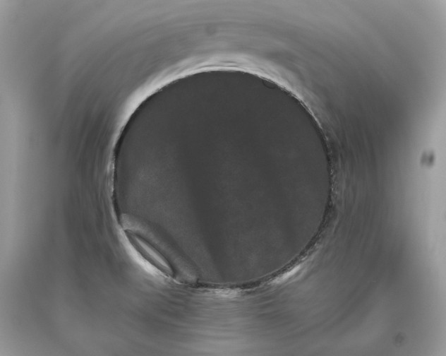 X0000093461519200710261009