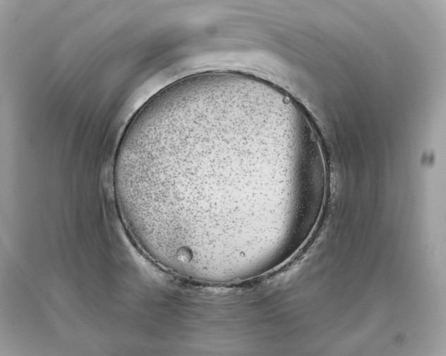 X0000093461521200710261009