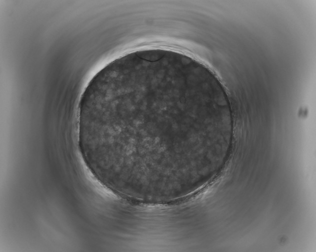 X0000093461522200710261009