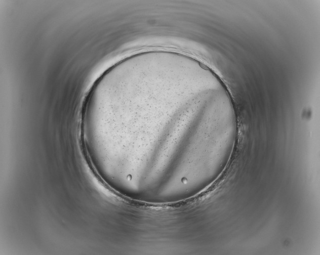 X0000093461523200710261009