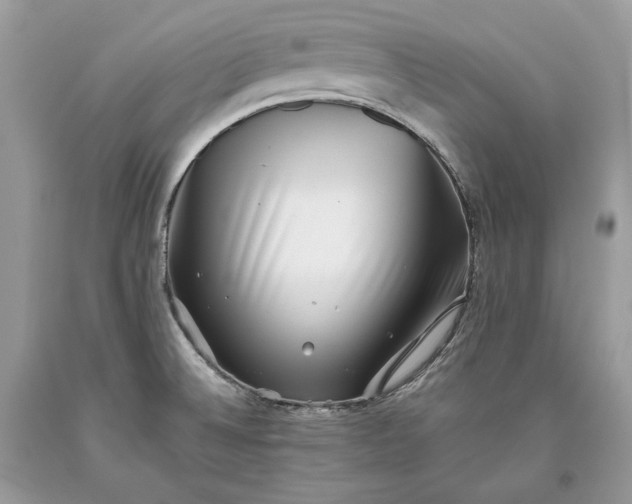 X0000093461524200710261009