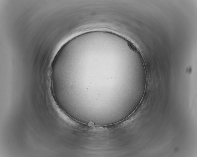 X0000093461526200710261009