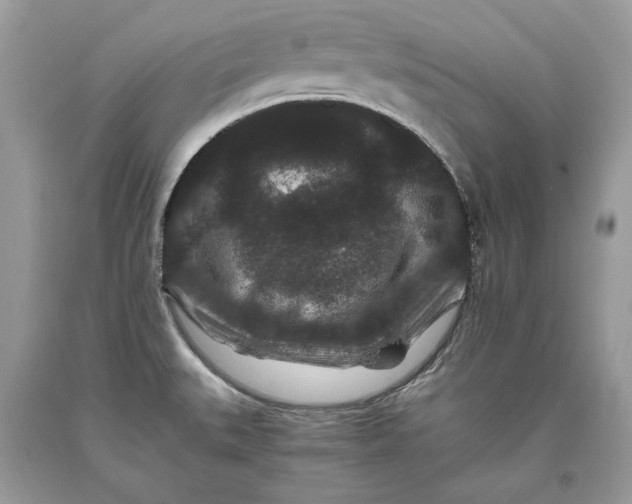 X0000093461527200710261009