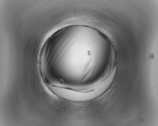 X0000093461528200710261009