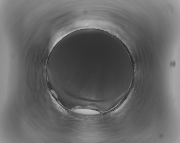 X0000093461529200710261009