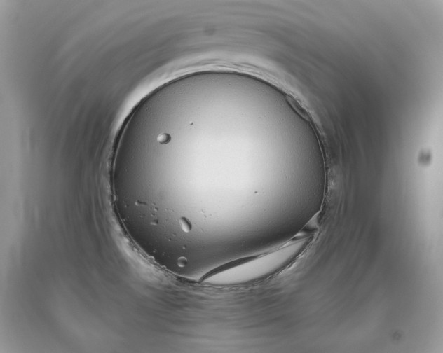 X0000093461530200710261010