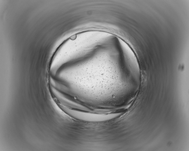 X0000093461531200710261010