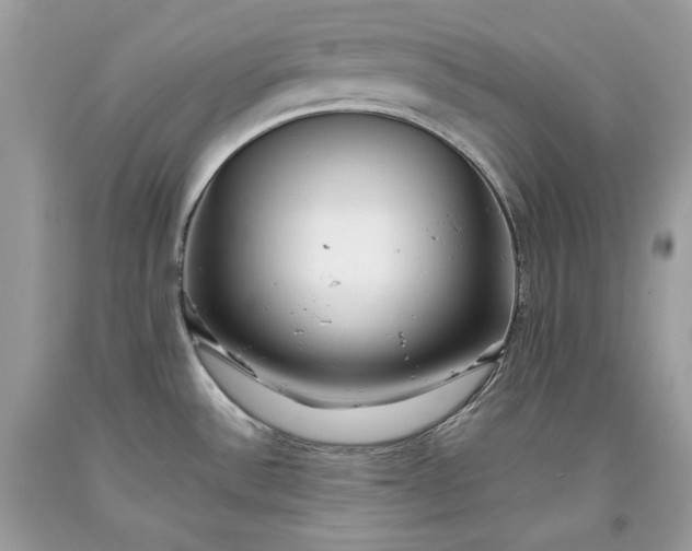 X0000093461532200710261010