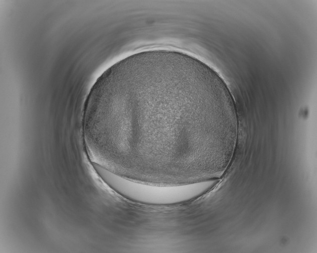 X0000093461534200710261010