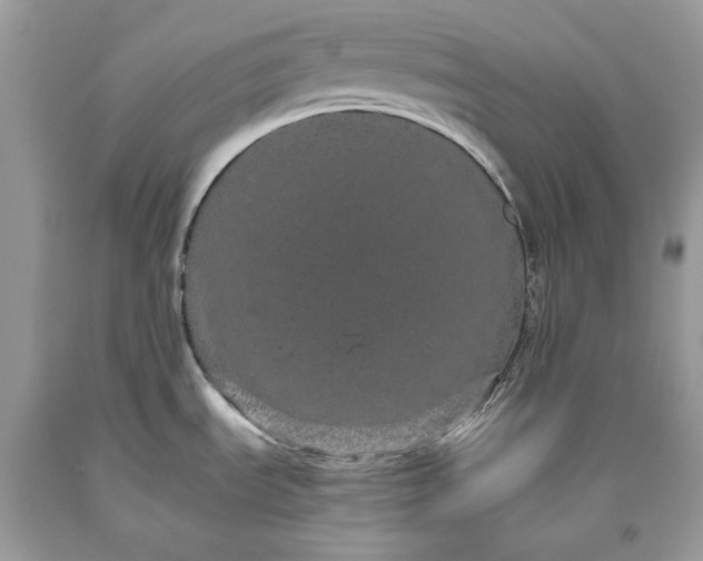 X0000093461535200710261010