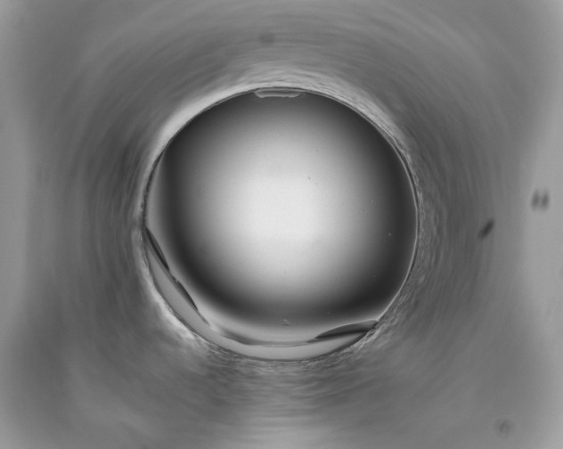 X0000093461536200710261010