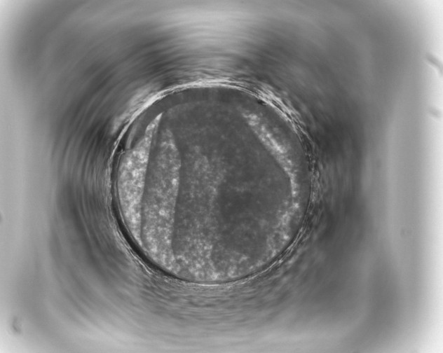 X0000093460002200711021143