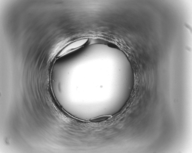 X0000093460005200711021143