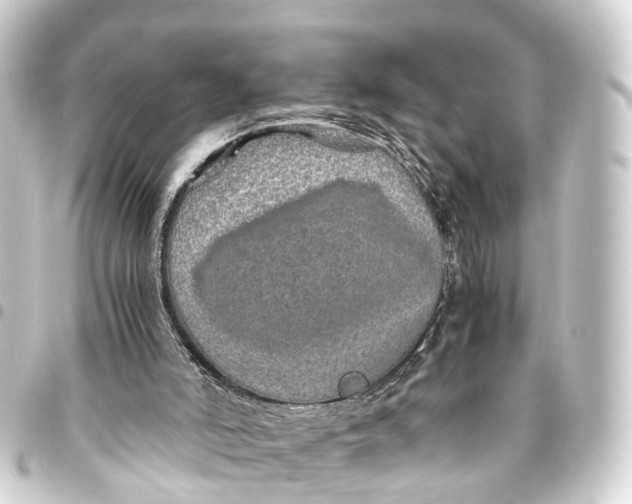 X0000093460006200711021143