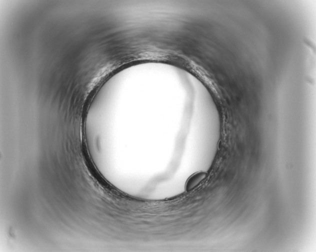 X0000093460011200711021143