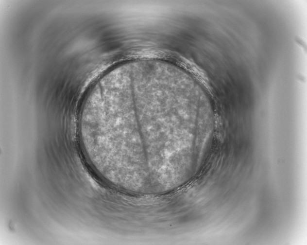 X0000093460012200711021143