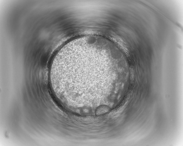 X0000093460016200711021143