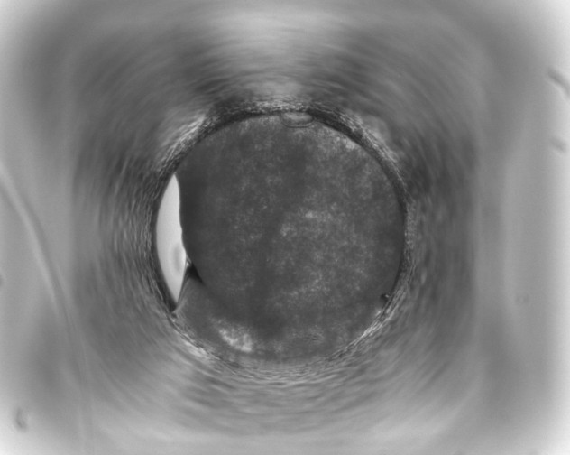 X0000093460017200711021143