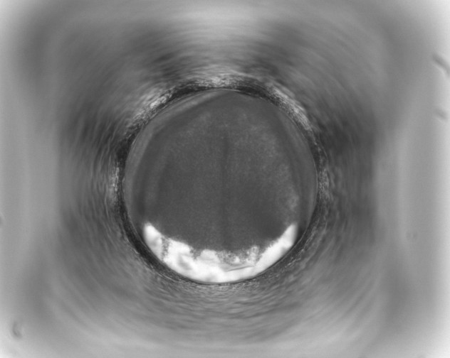 X0000093460018200711021143