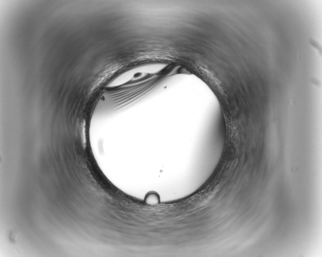 X0000093460020200711021143