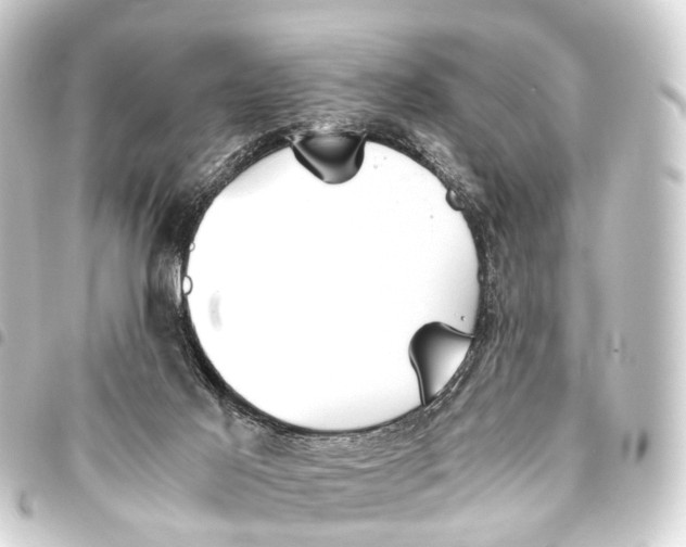 X0000093460021200711021143