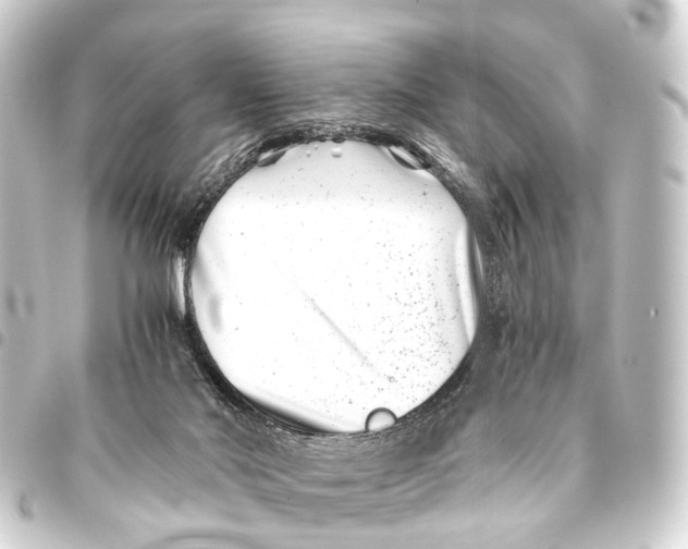 X0000093460022200711021143