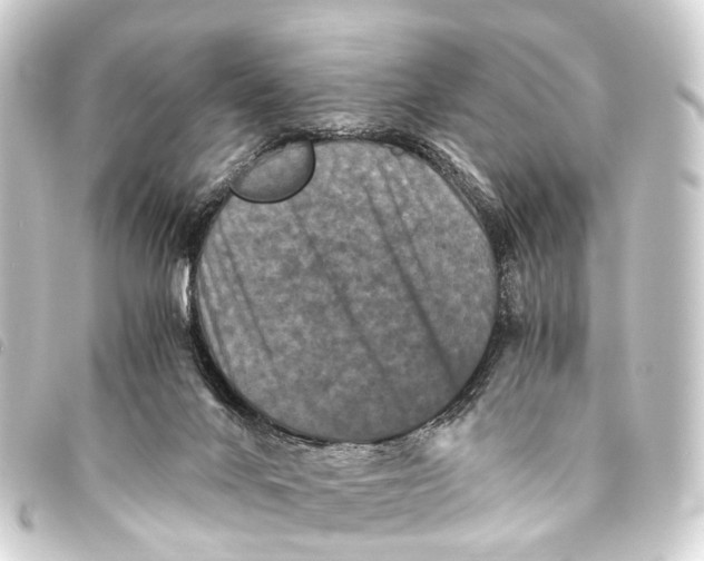 X0000093460024200711021143