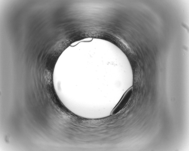 X0000093460025200711021143