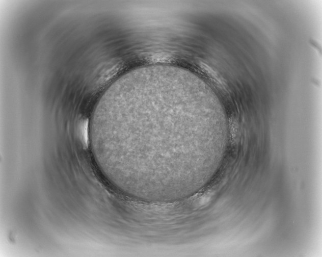 X0000093460028200711021143