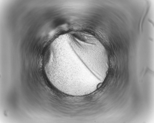 X0000093460032200711021143