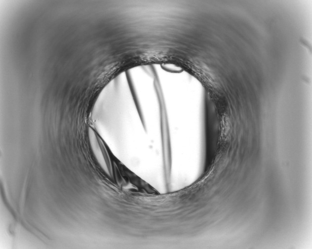 X0000093460033200711021143