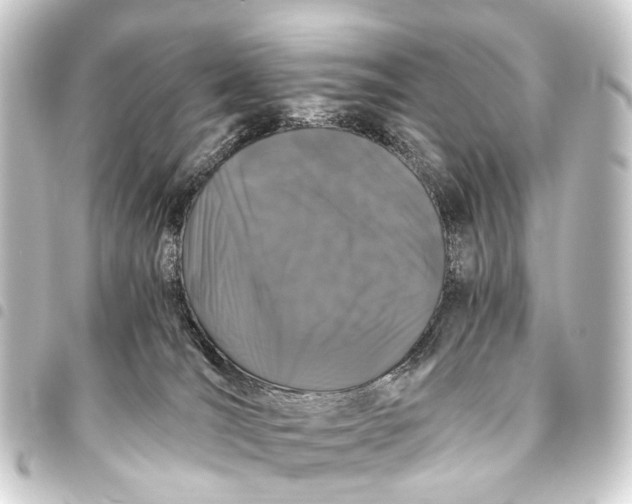 X0000093460036200711021143