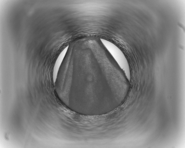 X0000093460037200711021143