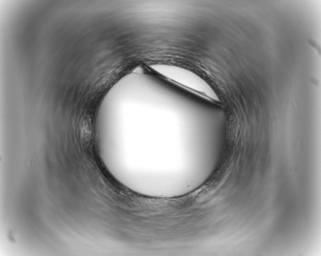 X0000093460040200711021143