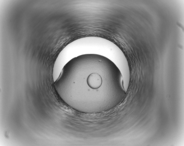 X0000093460041200711021143