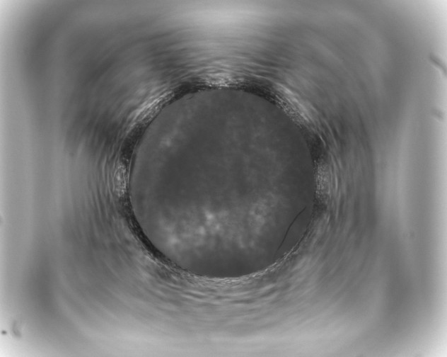 X0000093460043200711021143