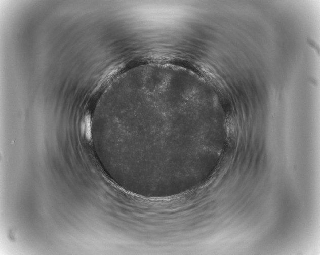 X0000093460046200711021143