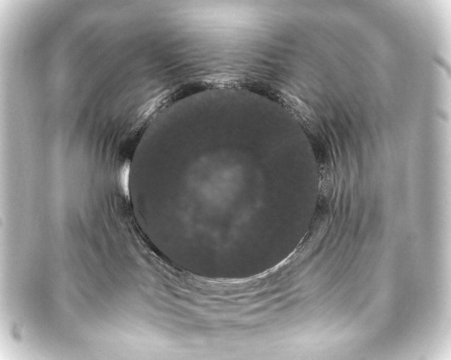 X0000093460047200711021143