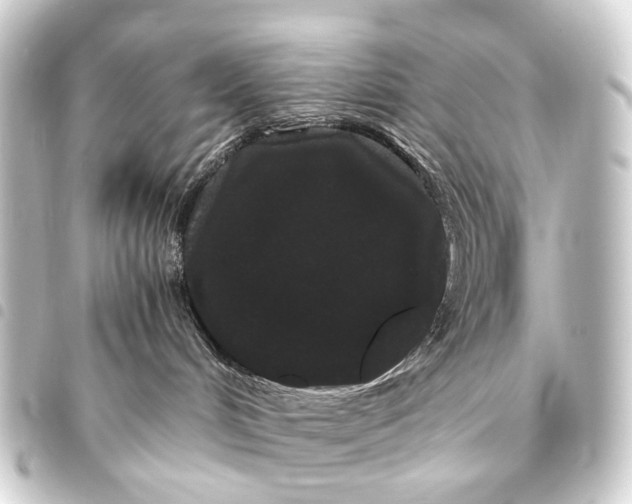 X0000093460048200711021143