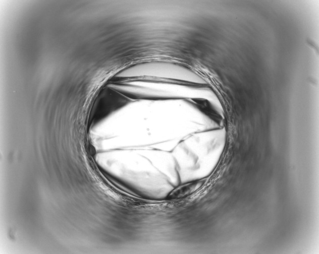 X0000093460049200711021142