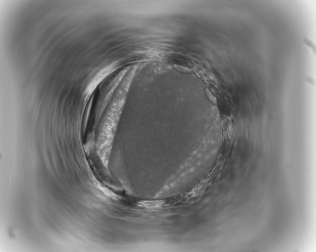 X0000093460051200711021142