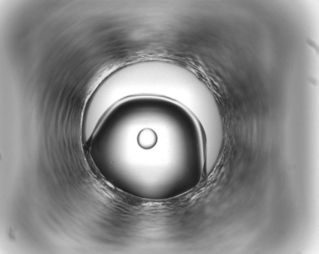 X0000093460052200711021142