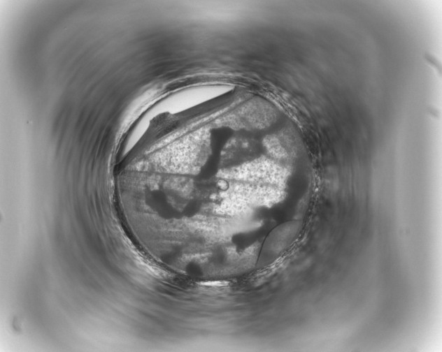 X0000093460053200711021142