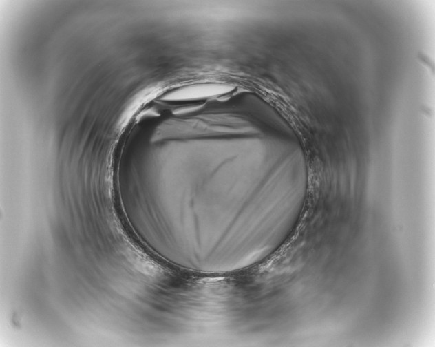 X0000093460054200711021142