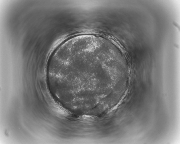 X0000093460055200711021142