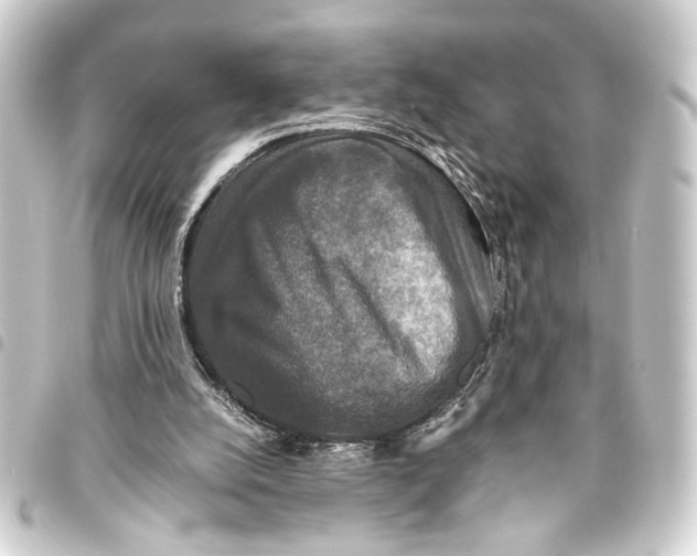 X0000093460056200711021142