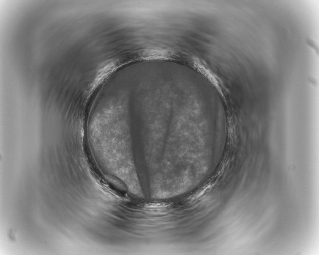 X0000093460059200711021142