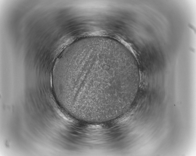 X0000093460061200711021142